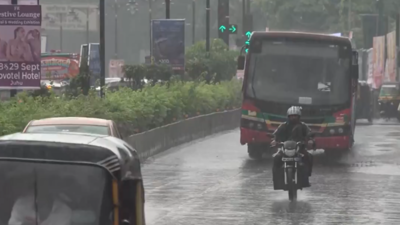 IMD predicts dense  rainfall  successful  Mumbai, suburbs; orangish  alert issued