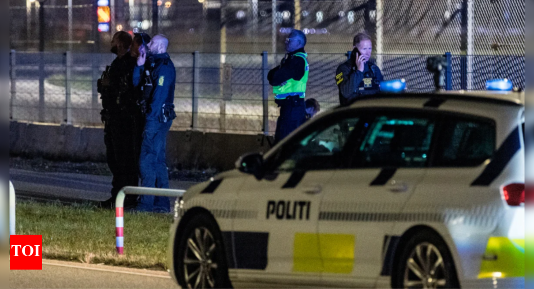 'Lasted for hours': Denmark reports new drone sightings over biggest military base