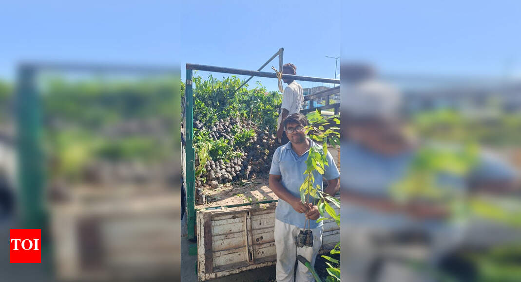 Nahor sapling sales rise in Assam as fans honour Zubeen