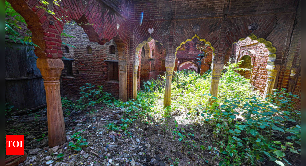 From hunting lodge to cattle shed: Where squatters hold the Fort Shah Jahan’s forgotten qila lost in Delhi’s concrete jungle