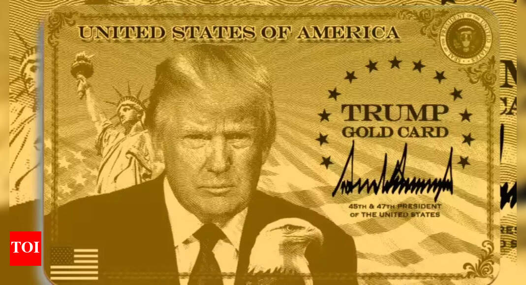 'Interest gone up since revisions': Trump's 'Gold Card' draws rise in Indians chasing American dream
