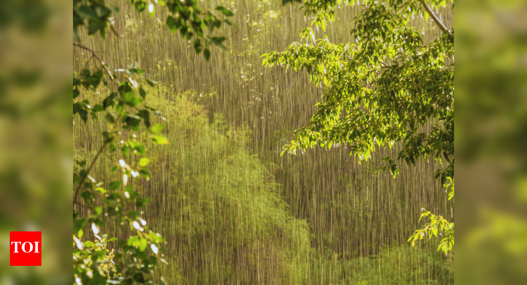 Heavy rains lash Ahilyangar district