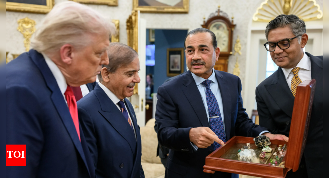 Pakistan plays 'Trump card', flashes mineral wealth in the White House