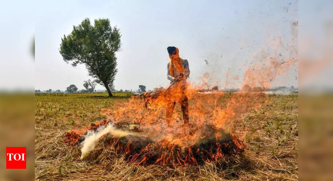 The Times of India - Other - News Image