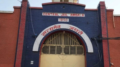 Another inmate flee from Central Jail Ambala, climb jail wall with help of electricity wire