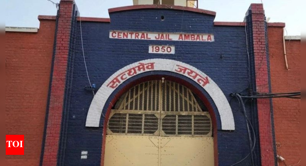 Another inmate flee from Central Jail Ambala, climb jail wall with help of electricity wire