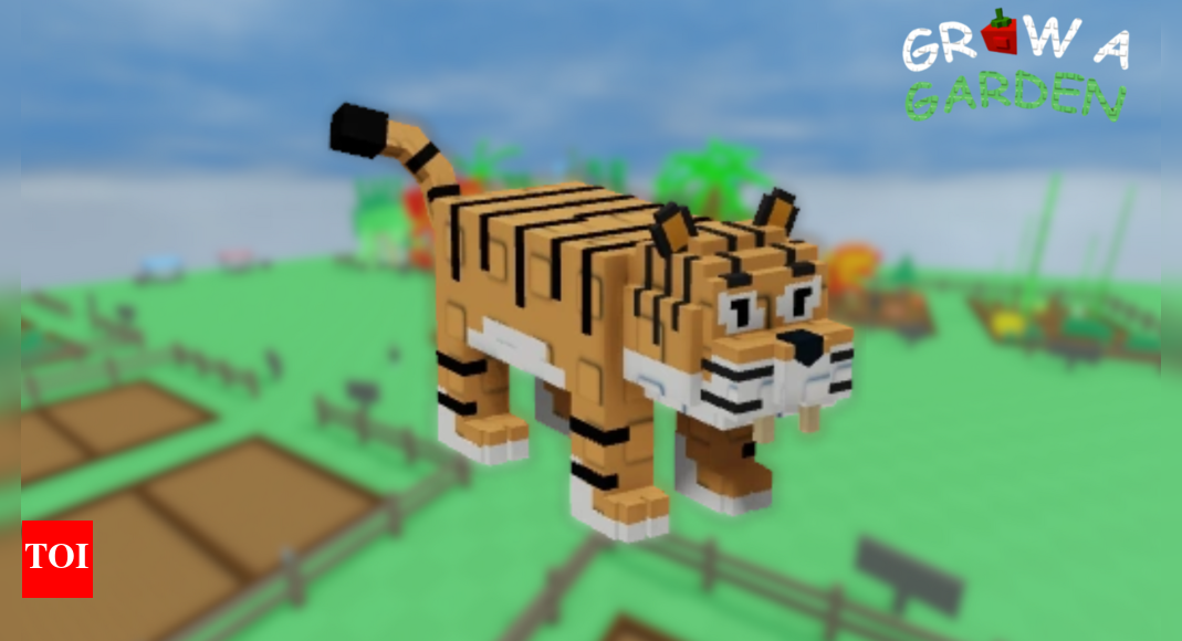How to get Tiger in Grow a Garden