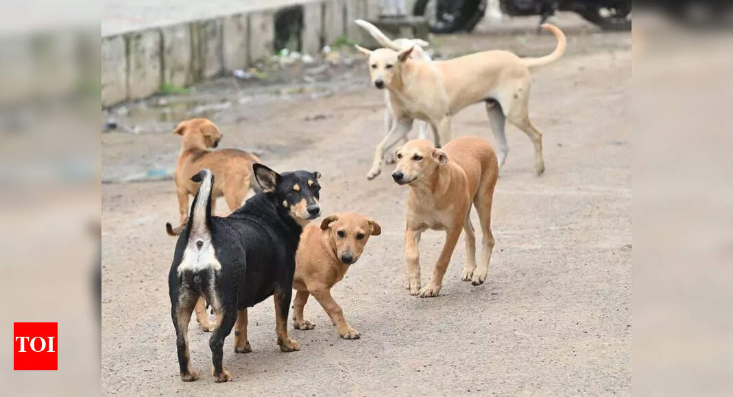 MKCG students stage street play to create awareness about rabies