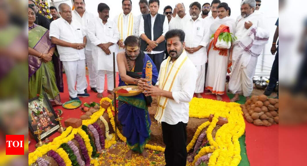 The Times of India - Politics - News Image