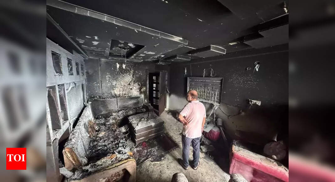 The Times of India - Entertainment - News Image