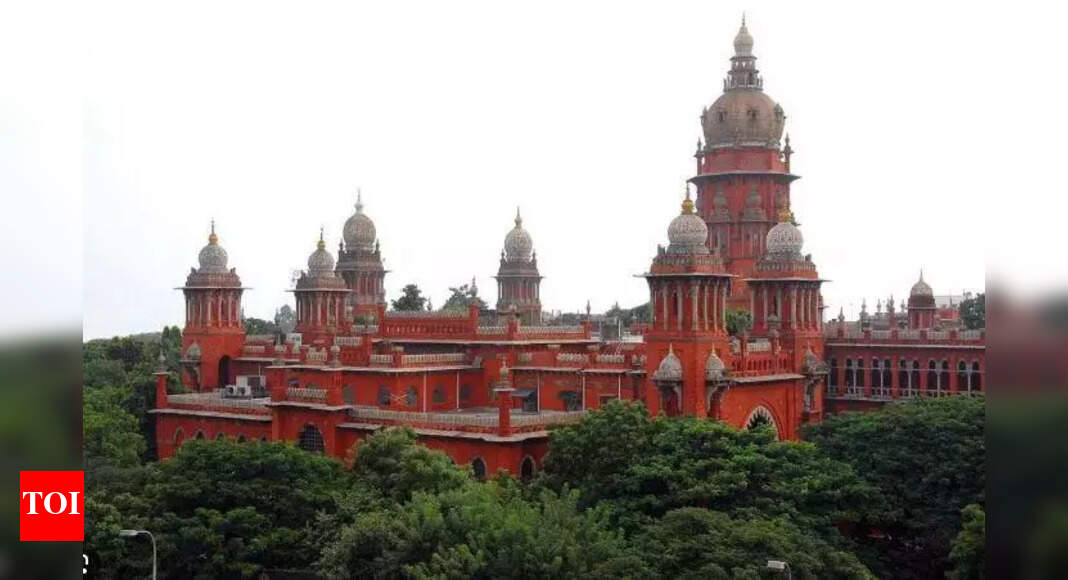 The Times of India - Politics - News Image