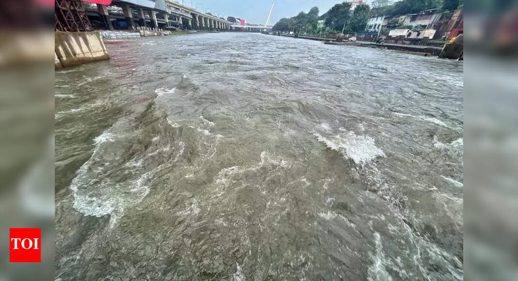 The Times of India - Business - News Image