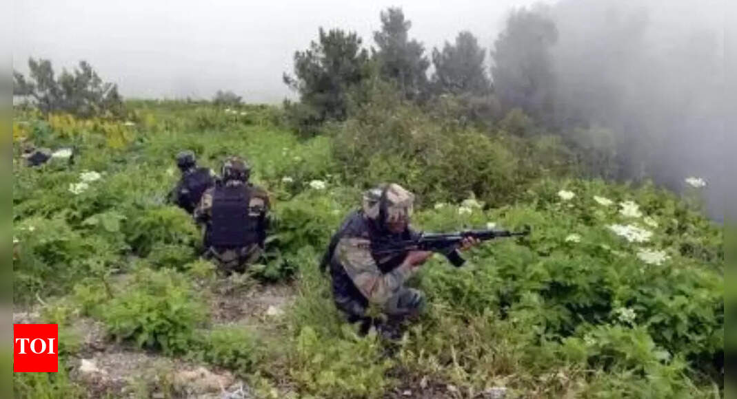 Two infiltrators killed along LoC
