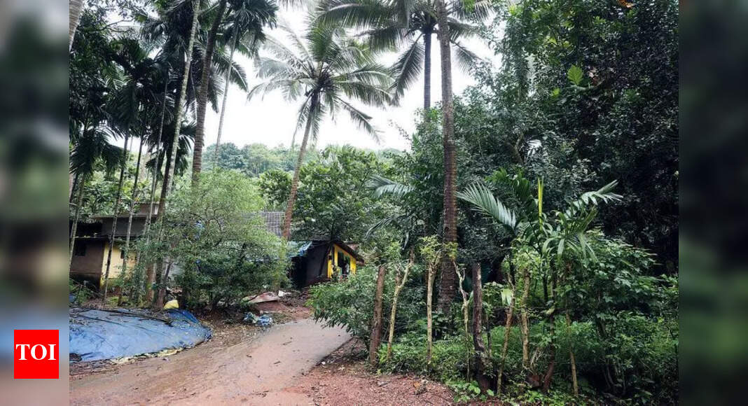 Goa scraps IIT Codar project after villagers threaten ‘aggressive’ protest