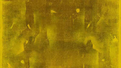 Rs 355 crore sale marks new high for Indian art market