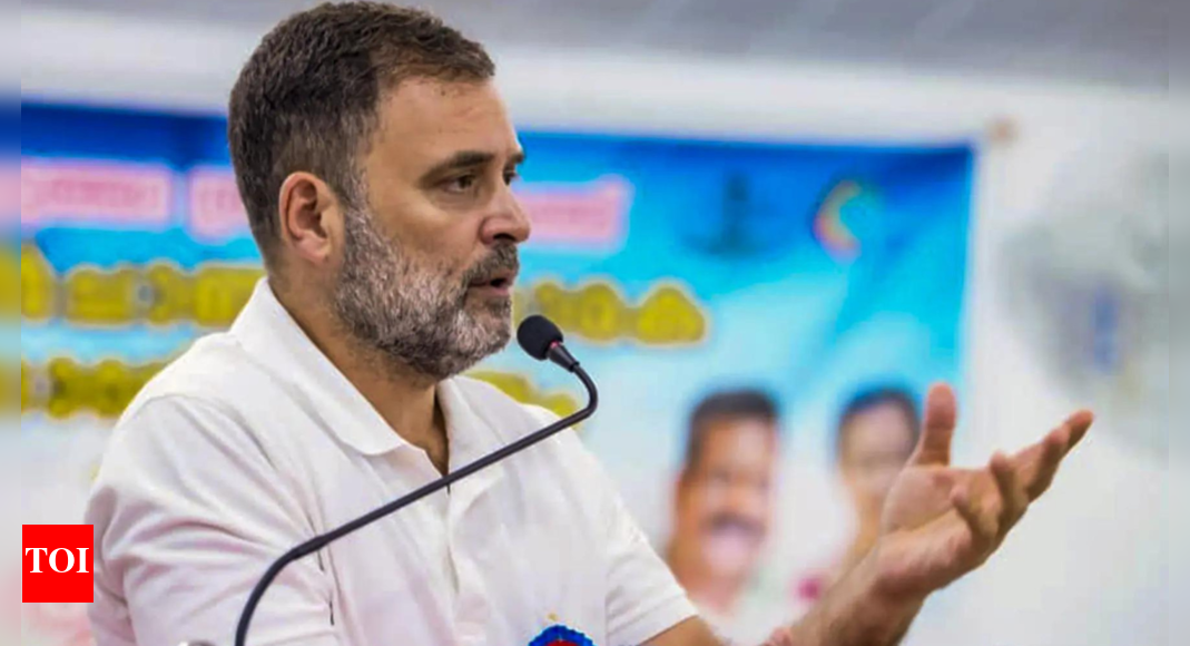 <div>Ladakh's people, traditions under attack, says Rahul Gandhi</div>