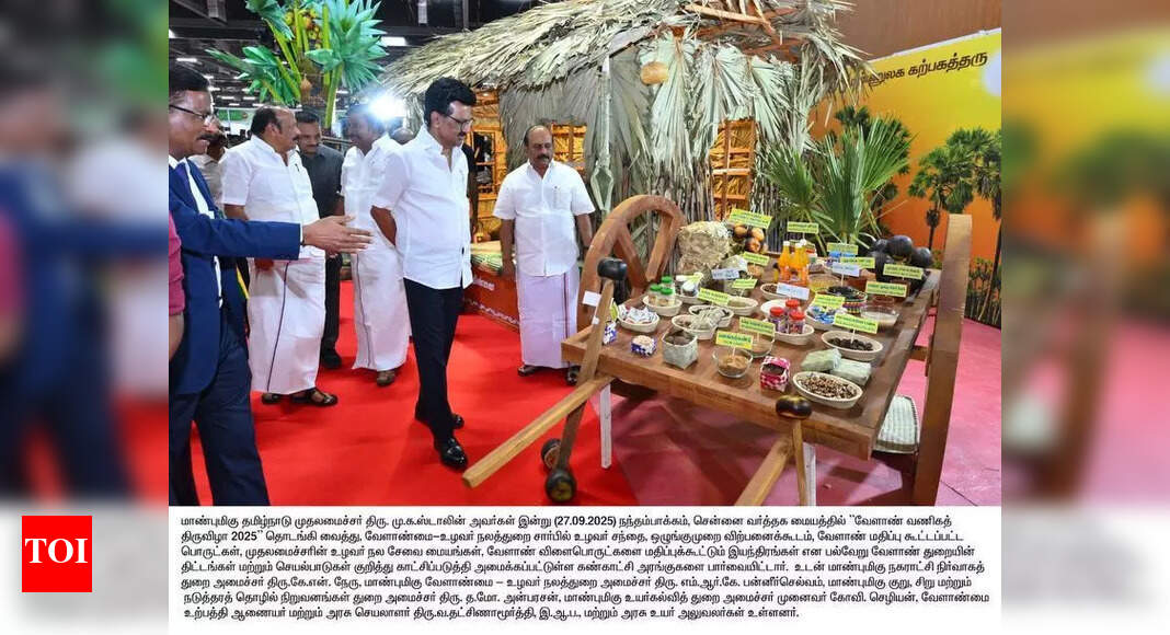 The Times of India - Business - News Image