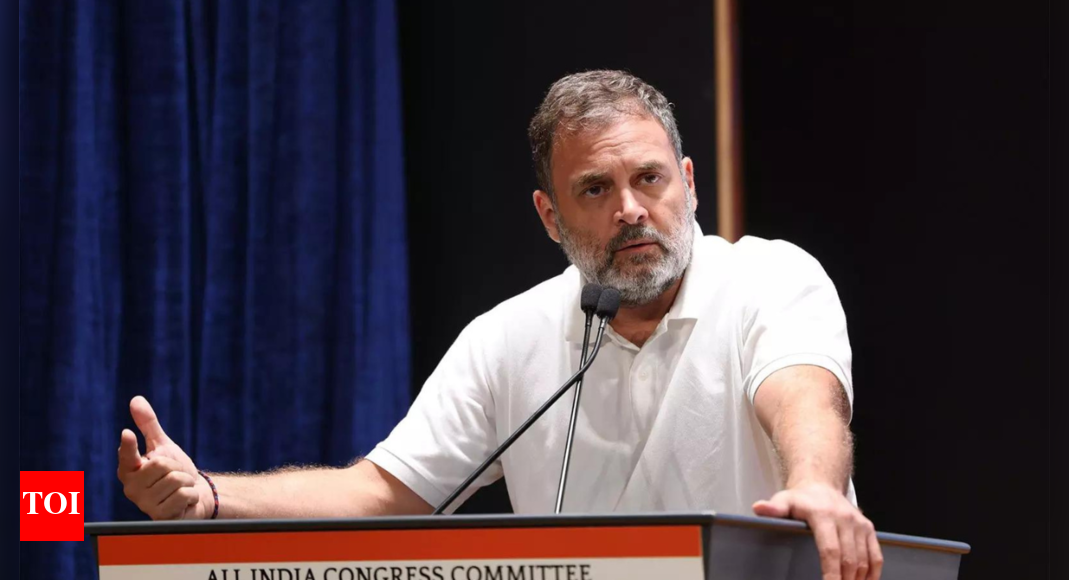 Karur stampede: Rahul Gandhi dials Vijay; offers condolences after 41 declared dead