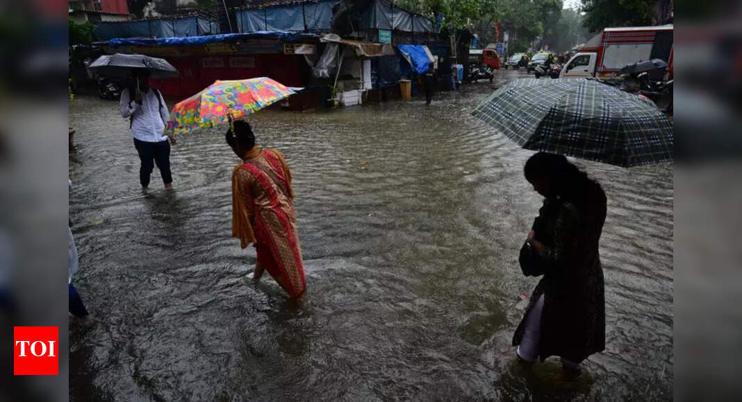Mumbai rains: Schools closed in Palghar district amid heavy rainfall, check more details here - The Times of India