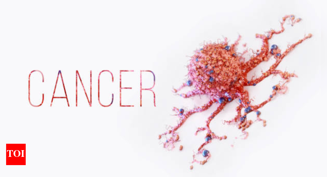 Gut microbes may hold the key to cancer therapy effectiveness