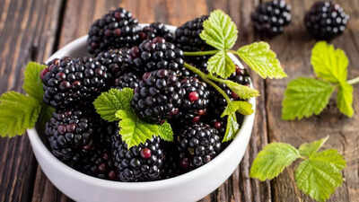 Blackberries help regulate blood sugar, support heart and bone health: Know other health benefits