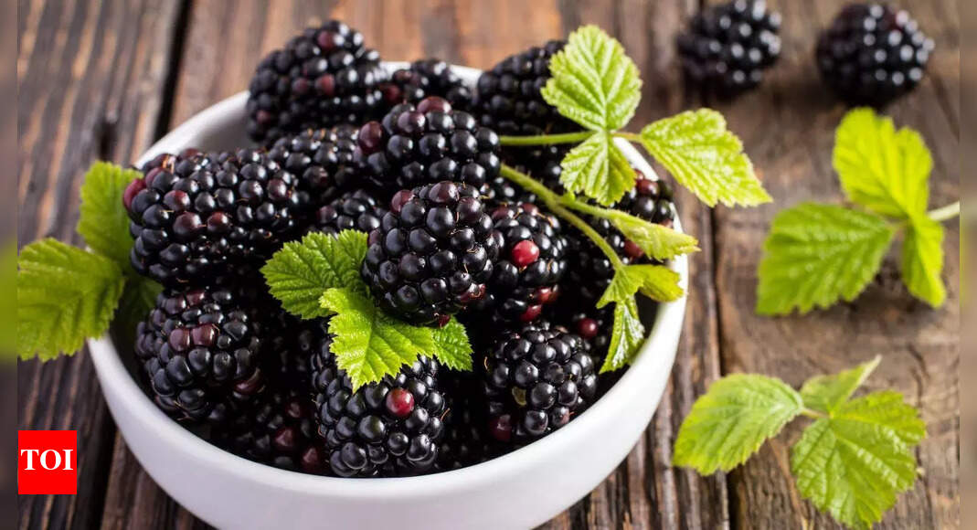 Blackberries help regulate blood sugar, support heart and bone health: Know other health benefits