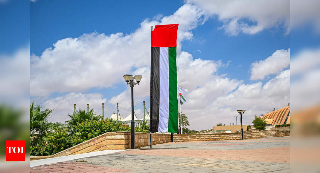 UAE just launched 4 new visit visas for AI, cruise, events, and entertainment: Find out who can apply