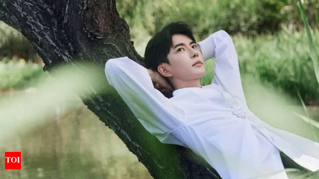 Yu Menglong's controversial death: Chinese actor's last text resurfaces; reads, 'That money isn't earned by me—it's dirty' | - The Times of India