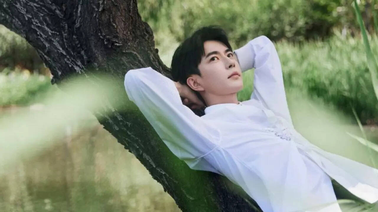 Yu Menglong's controversial death: Chinese actor's last text resurfaces;  reads, 'That money isn't earned by me—it's dirty' | - The Times of India