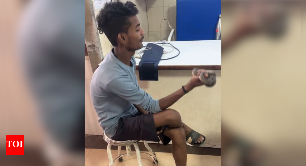 Bhopal: Youth walks into hospital with snake wrapped around hand after being bitten