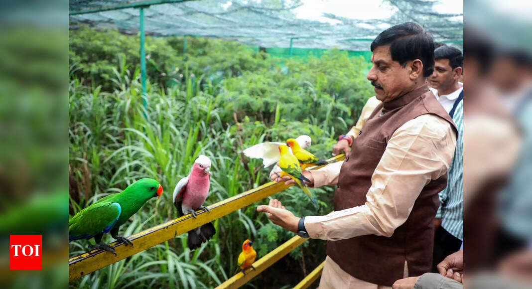 Madhya Pradesh wildlife flourishes: CM Mohan Yadav welcomes new arrivals at Indore zoo