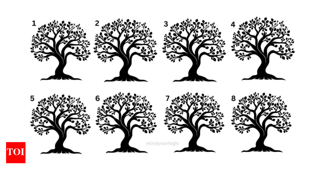 Only those with sharp eyes and a creative mind can spot the odd tree in this tricky illusion