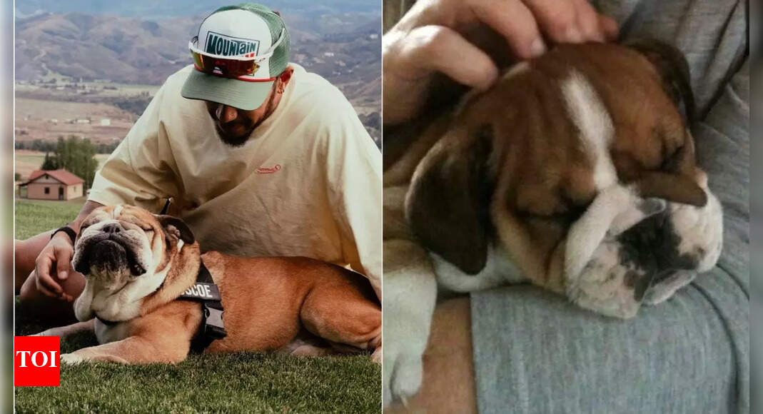 Lewis Hamilton bids goodbye to his ailing paddock buddy Roscoe: “I had to make the hardest decision of my life”