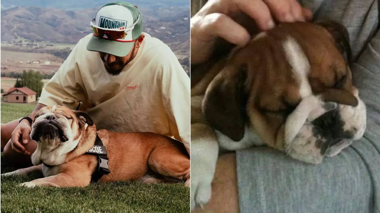 Lewis Hamilton Mourns Bulldog Roscoe’s Heartbreaking Death