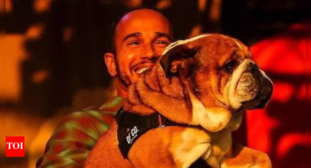 Viral: Lewis Hamilton's dog Roscoe no more, netizens pour in tribute
