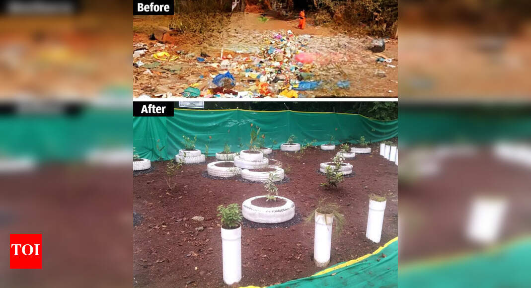 Mapusa’s ‘black spots’ turn ‘green’ as civic body tackles garbage crisis