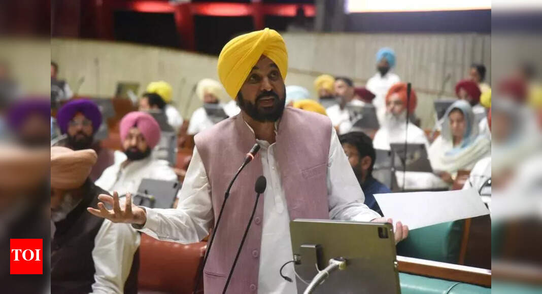 Punjab passes resolution against Centre’s ‘apathy’ on flood aid