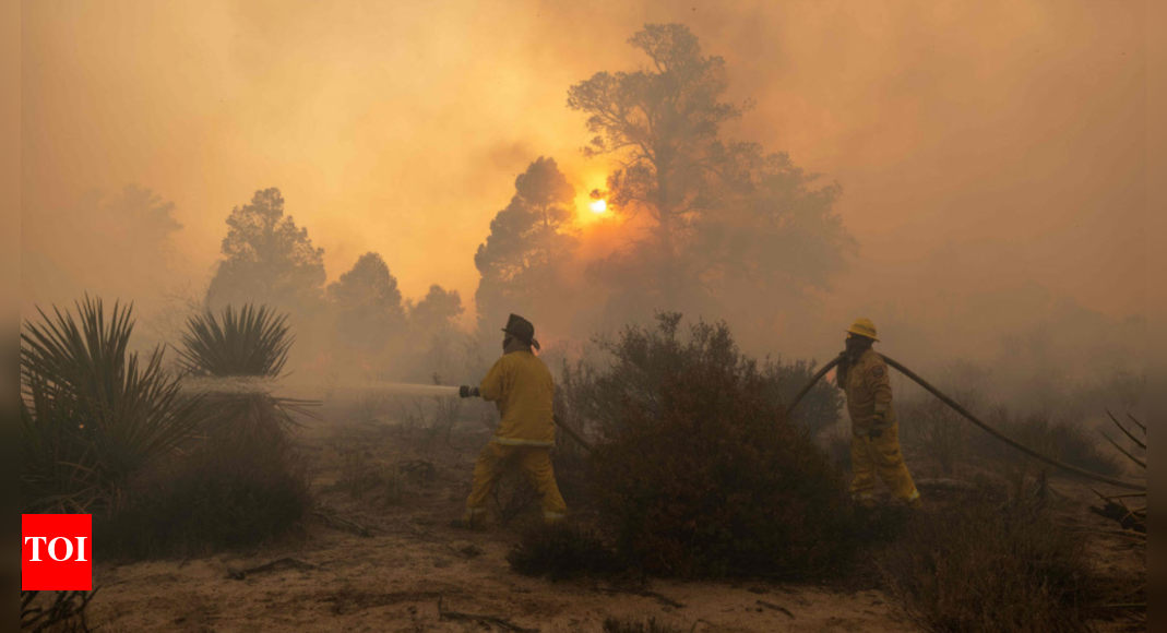 Wildfire in Namibia's flagship park contained, says minister