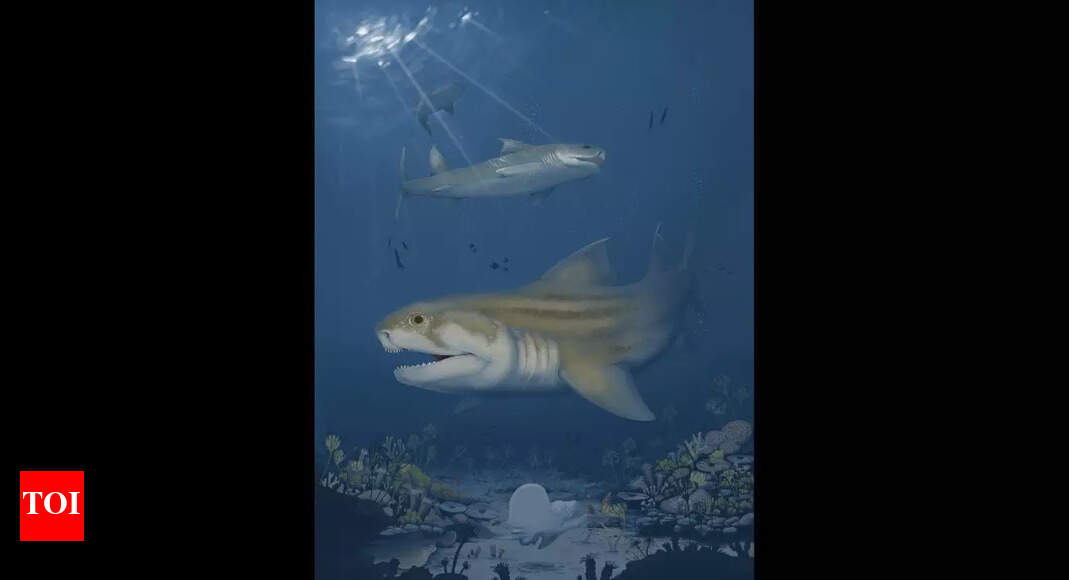 Mammoth cave mystery: Two new sea monsters resurface after 325 million years in the world’s largest cave