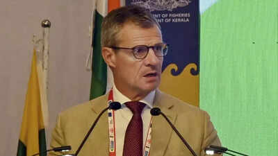 Last round a missed opportunity, need to engage in earnest for FTA by year-end: EU envoy