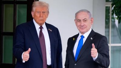 Gaza peace proposal: Did Netanyahu move away from Trump's plan? What he said on Palestinian statehood