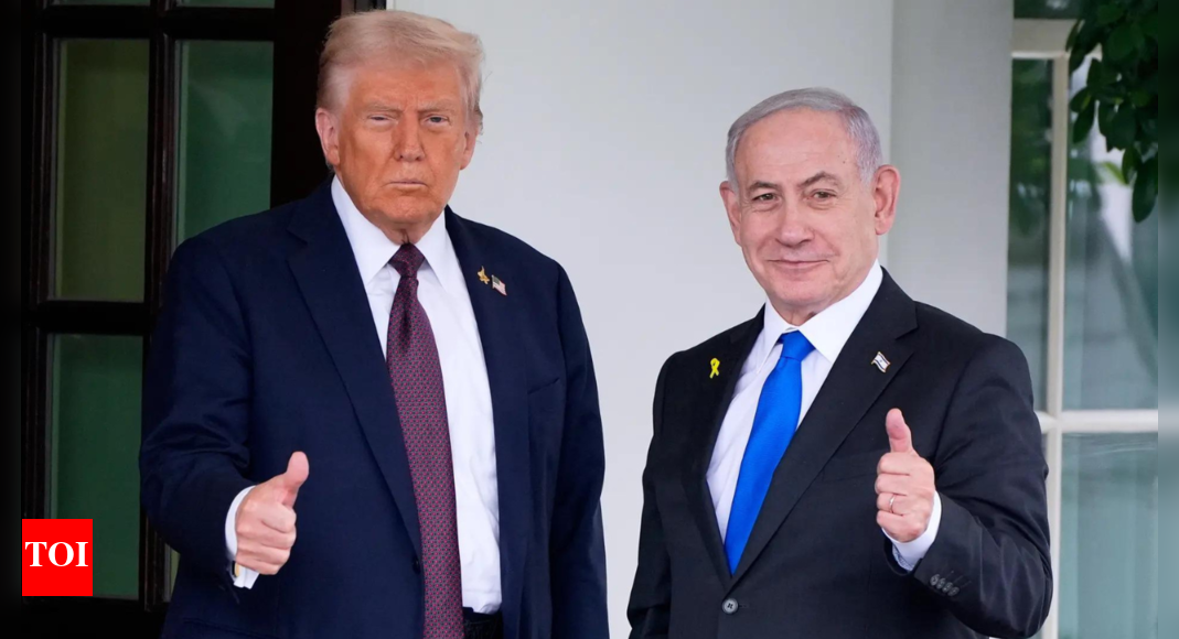 Gaza peace proposal: Did Netanyahu move away from Trump's plan? What he said on Palestinian statehood