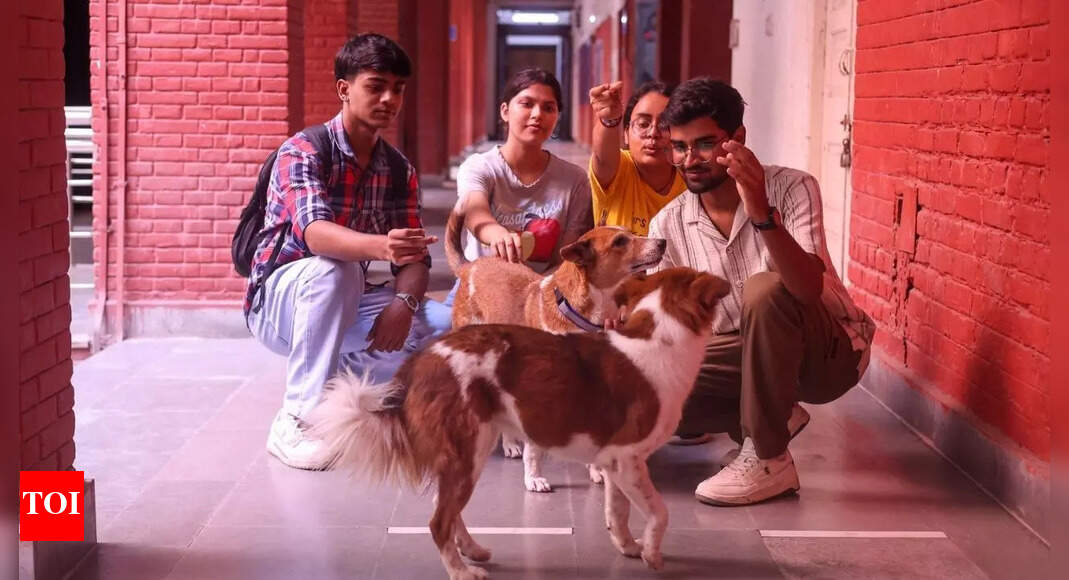 KMC students rally to keep the dogs on campus safe