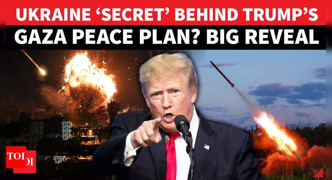 ‘We’ll see how it is’: Donald Trump gives Hamas 3-4 days to accept Gaza ‘peace plan’; warns of ‘sad end’ if rejected – The Times of India