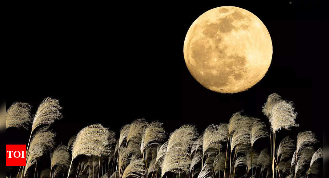 Harvest Moon 2025: Rare Supermoon date, time, where to watch, and why it’s special