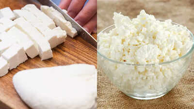 Paneer vs cottage cheese: Which protein-rich cheese is better for your health, diet, and favourite recipes
