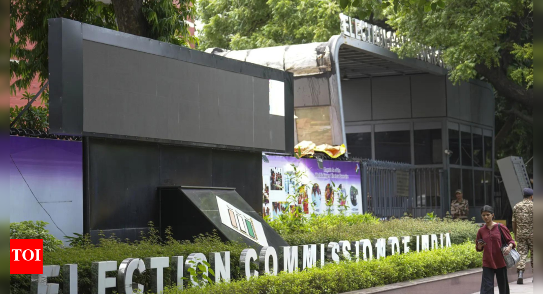 Bihar SIR: EC publishes final electoral roll; how voters can check details
