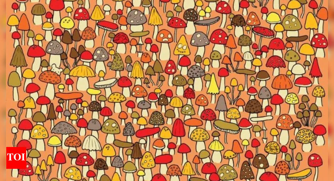 Optical Illusion: Can you spot the hidden mouse among the mushrooms?