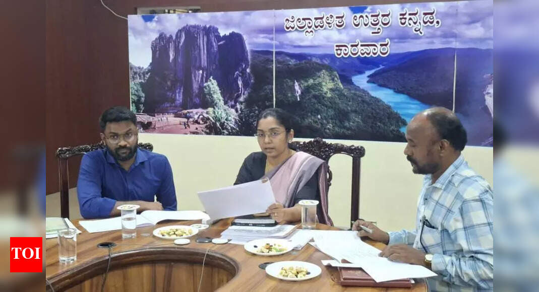 The Times of India - Business - News Image