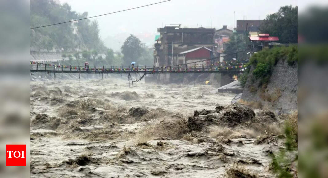 The Times of India - Other - News Image